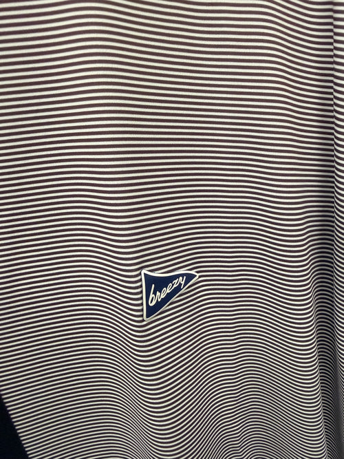 Breezy The Stripes Men's Polo - Maroon