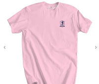 Scales Offshore Cart SS Triblend Tee - Pink