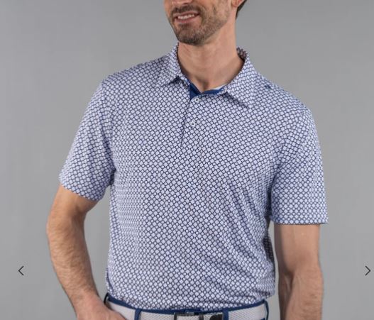 Scales Pattern Men's Polo - White/Royal